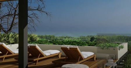 On the Hills of central Tamarindo