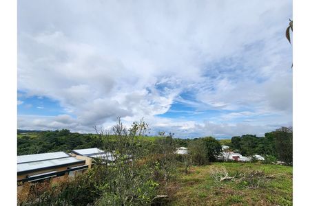Pereira/Risaralda/Colombia